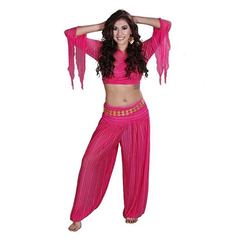 Belly Dance Harem Pants And Choli Top Costume Set Sheer Harem 44 99