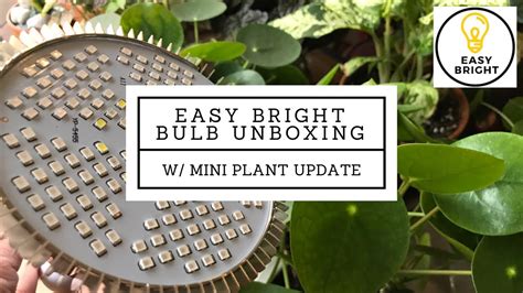 Easy Bright Led Grow Light Unboxing W Quick Plant Updates Youtube