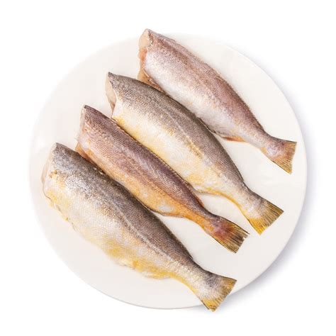 Get King Weakfish, Frozen 2 lb Delivered | Weee! Asian Market