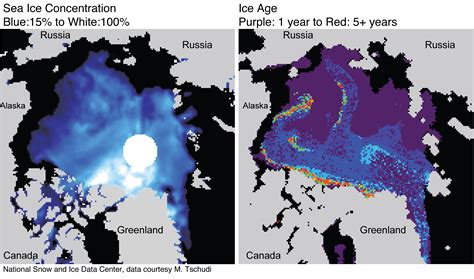 Arctic sea ice at record low for July | Arctic Sea Ice News and Analysis