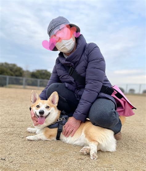 母と一緒にドッグラン ブログ・エフビーエックス★コーギーのいる生活