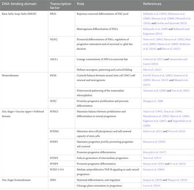 Frontiers Transcriptional Control Of Embryonic And Adult Neural