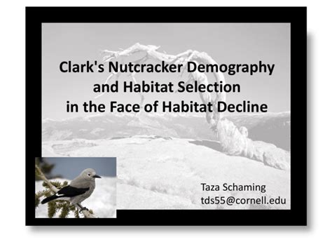 Clark's Nutcracker Demography and Habitat Selection in the face of