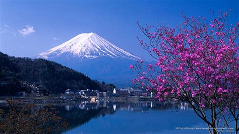 HD wallpaper: Mt. Fuji in Spring at Lake Kawaguchiko, Yamanashi, Japan, Mountains | Wallpaper Flare