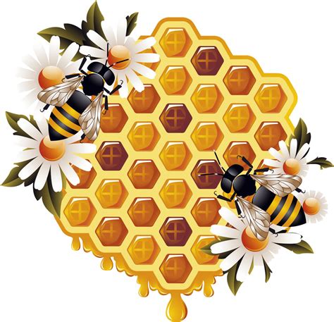 honey png transparent image  size xpx