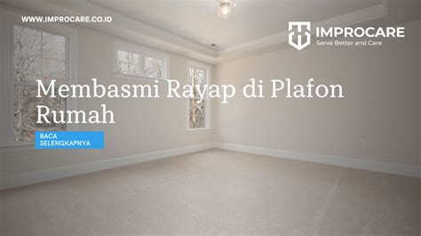 Membasmi Rayap Di Plafon Rumah PT Mahaka Improcare Indonesia