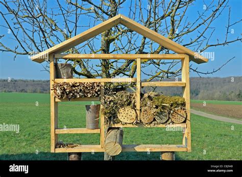 Bienen Brutst Tte Holz Insekten Natur Nest Nistk Sten Nistplatz