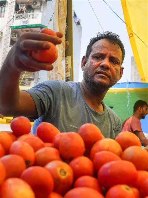 India Tomato Price Heres Why Tomato Prices Skyrocket Across Delhi