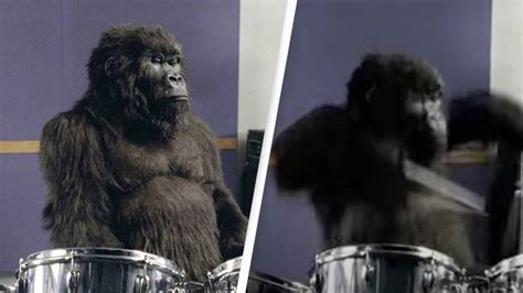 How The Cadbury's Gorilla Advert Very Nearly Wasn't Made