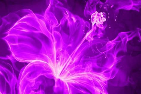 Purple Xbox Wallpapers Top Free Purple Xbox Backgrounds Wallpaperaccess