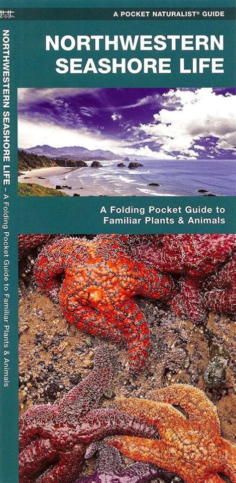 Northwestern Seashore Life A Folding Pocket Guide To Familiar Plants