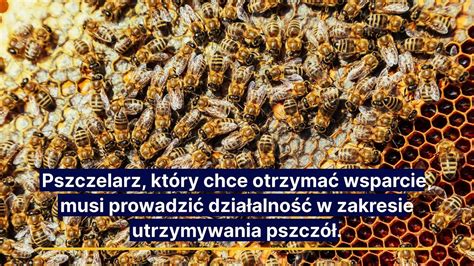 Dofinansowanie Przezimowanych Rodzin Pszczelich Video Dailymotion