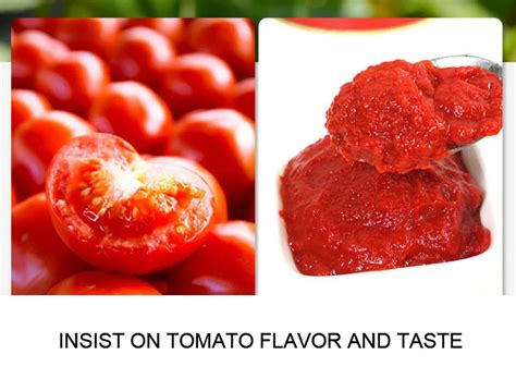 2024 High Quality 30 Brix Tomato Paste 400g With Canned Information Fast Selling At Best Low