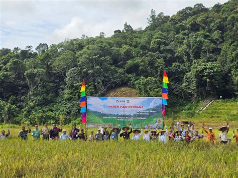 Relokasi Tahun Pertama Masyarakat Pemukiman PLTA Mentarang Induk Panen