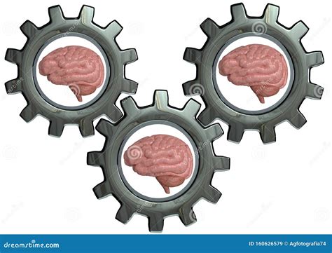 Cognitive Development Progress Stages By Age, Vector Illustration ... 