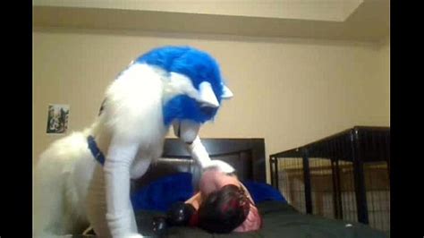 Video Furry Gay XVIDEOS