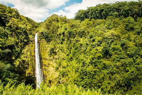 Akaka Falls - This Hawaii Life