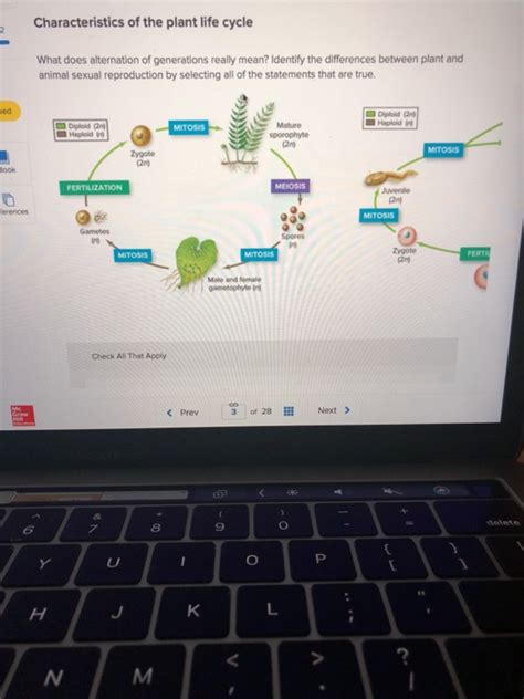 Solved Characteristics Of The Plant Life Cycle What Does