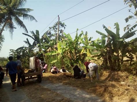 Gotong Royong Warga Bersama KKN Website Kalurahan Caturharjo