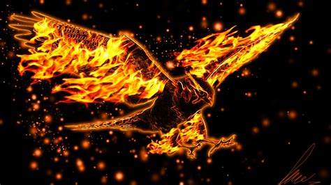 Wings Of Fire Wallpaper Wallpapersafari