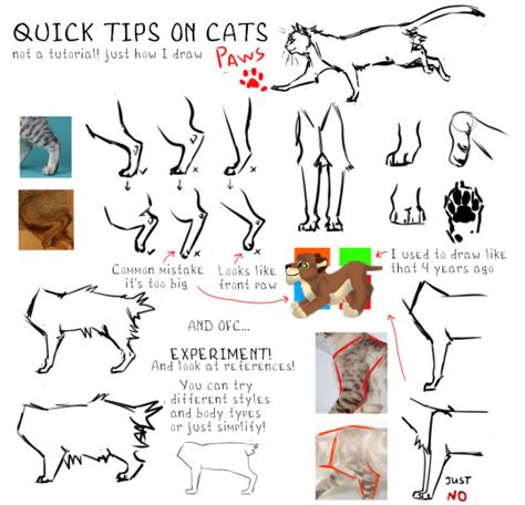 Poses Cat Anatomy Drawing - Jamie Paul Smith