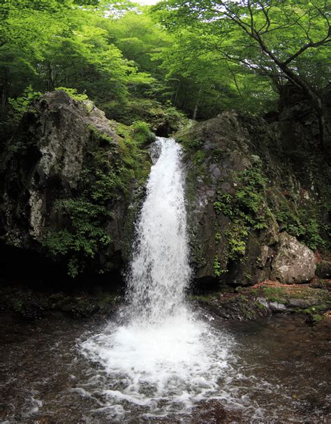 Free Images Nature Forest Waterfall River Formation Stream High