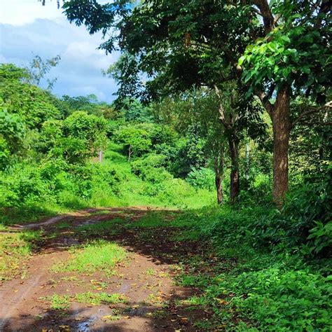 907 Sqm Residential Farm For Sale In Pililla Rizal Near Windmill Farm