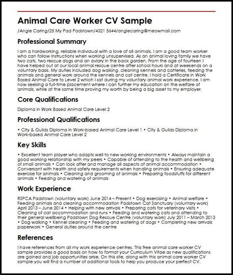 Professional Cv Template Myperfectcv Riset