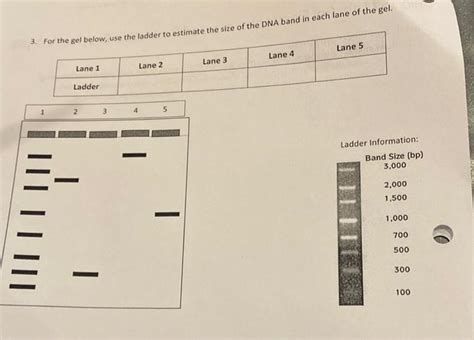Solved 3. | Chegg.com 