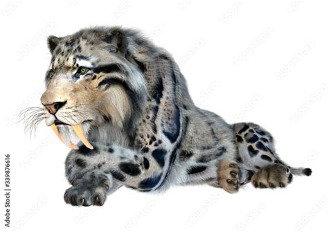 3D Rendering Sabertooth Tiger on White Stock Illustration | Adobe Stock