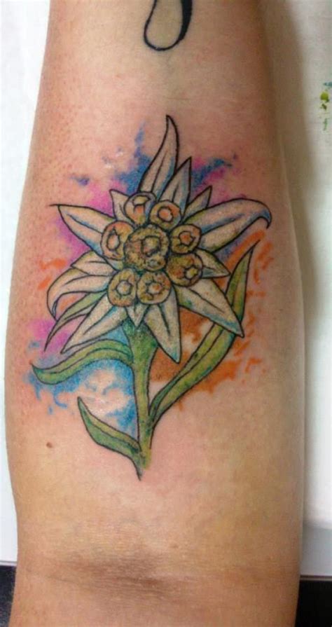 Edelweiss Tattoo: A Symbol of Beauty and Resilience | Art and Design