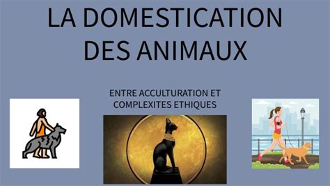 La Domestication Des Animaux