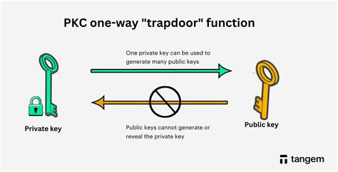 What Are Public And Private Keys In Crypto Wallets How Do They Work