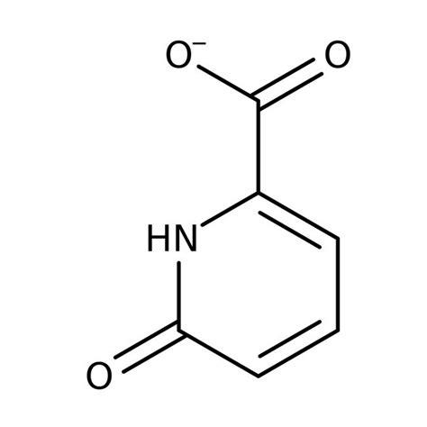 6 Hydroxypyridine 2 Carboxylic Acid 95 Thermo Scientific Chemicals