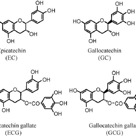 Structures Of Catechins Download Scientific Diagram