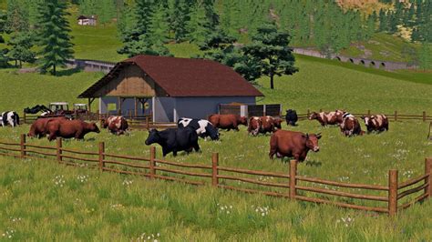 Cow Pasture FS19 KingMods