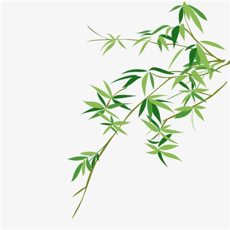 [最も選択された] bamboo leaves png 944264-Bamboo leaves png