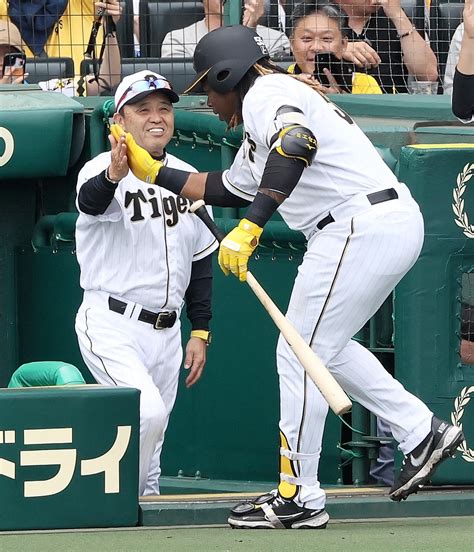 【阪神】岡田監督「もう十分やそんなもん。あの形の方がみんな見てくれる」8回途中降板の才木に プロ野球写真ニュース 日刊スポーツ