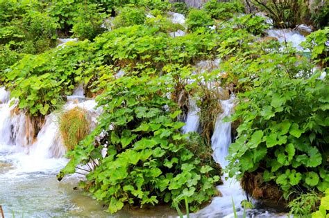 Beautiful Waterfall On Plitvice Lakes National Park Croatia In Spring