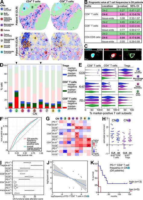 Coordinated Cellular Neighborhoods Orchestrate Antitumoral Immunity At