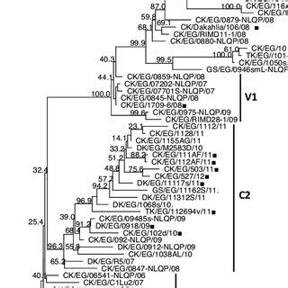 Phylogenetic Tree Based On Nucleotide Sequences Of The HA Gene The