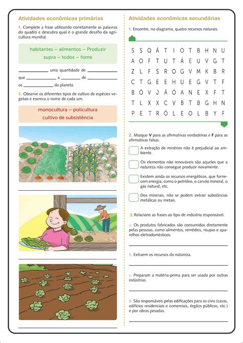 Professora Vilma Ribeiro: Atividade sobre os setores da economia