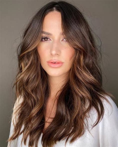 60 Hairstyles Featuring Dark Brown Hair With Highlights