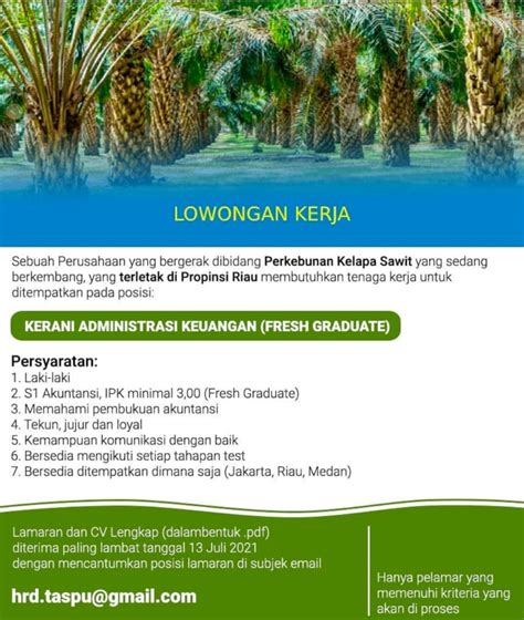 Info Loker Perkebunan Kelapa Sawit Sebagai Kerani Administrasi