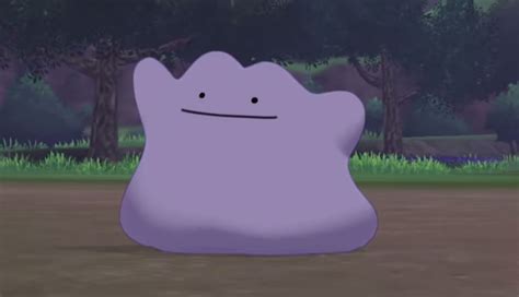 Pokemon Spada E Scudo Dove Trovare E Come Catturare Ditto