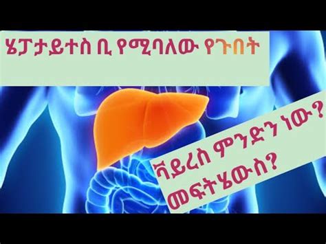 Hepatitis B Virus Seifuonebs Youtube