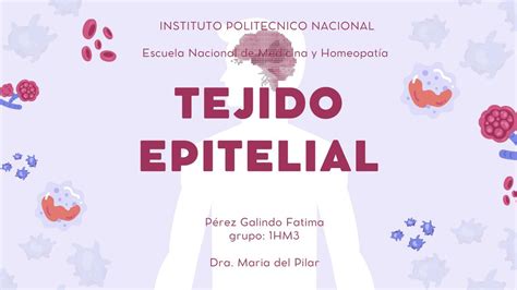 Tejido Epitelial Fatima Perez Galindo Udocz