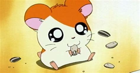 hamtaro characters names  pictures hamtaro official website