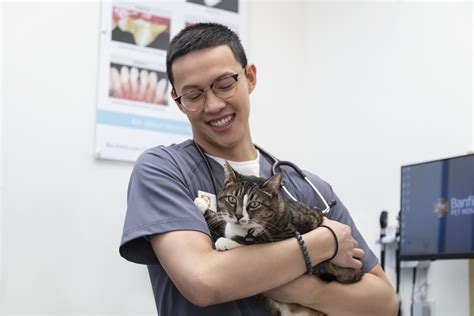 banfield pet hospital o'fallon il 9