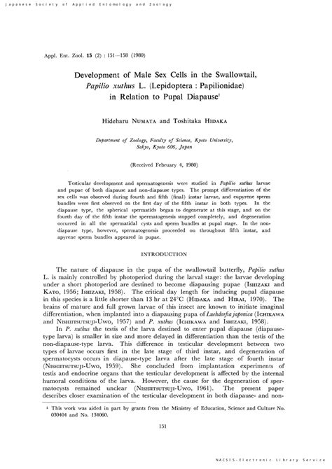 Pdf Development Of Male Sex Cells In The Swallowtail Papilio Xuthus